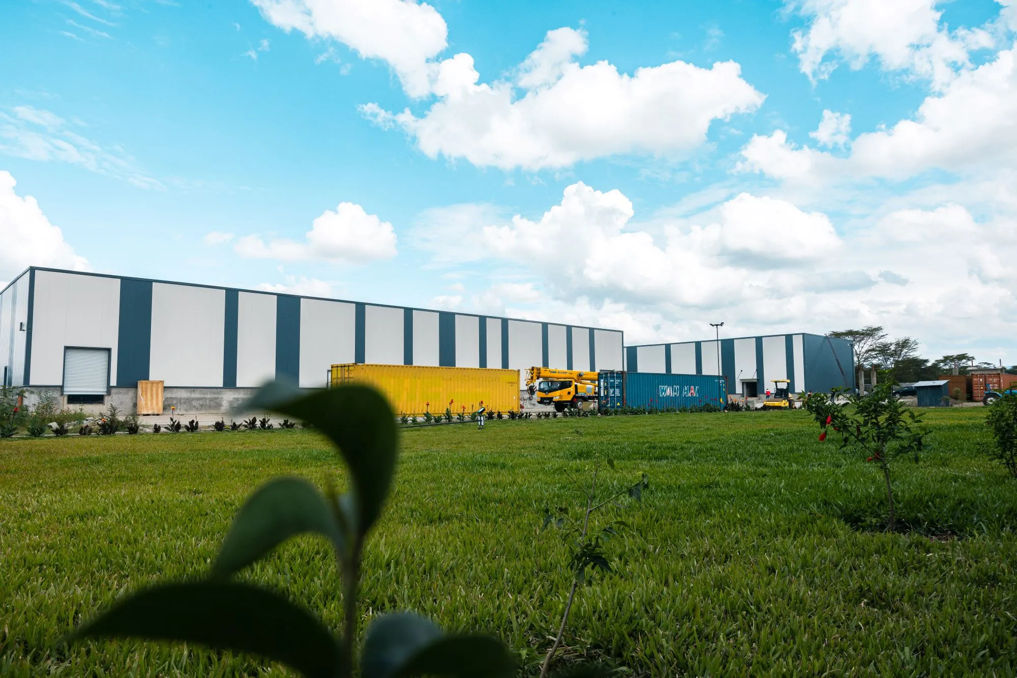 Newvasha EPZ Industrial Operations