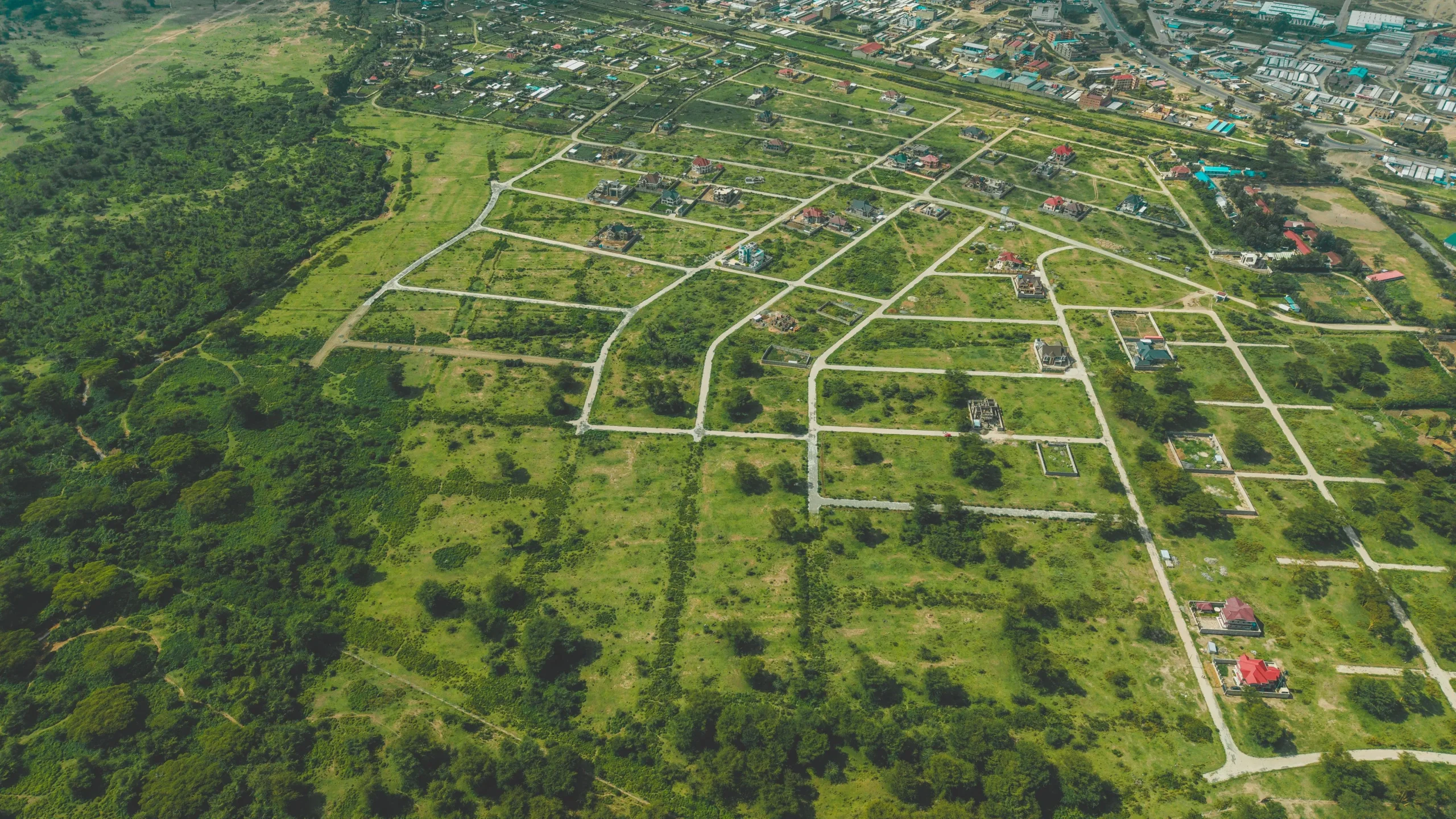 Single-Dwelling Houses