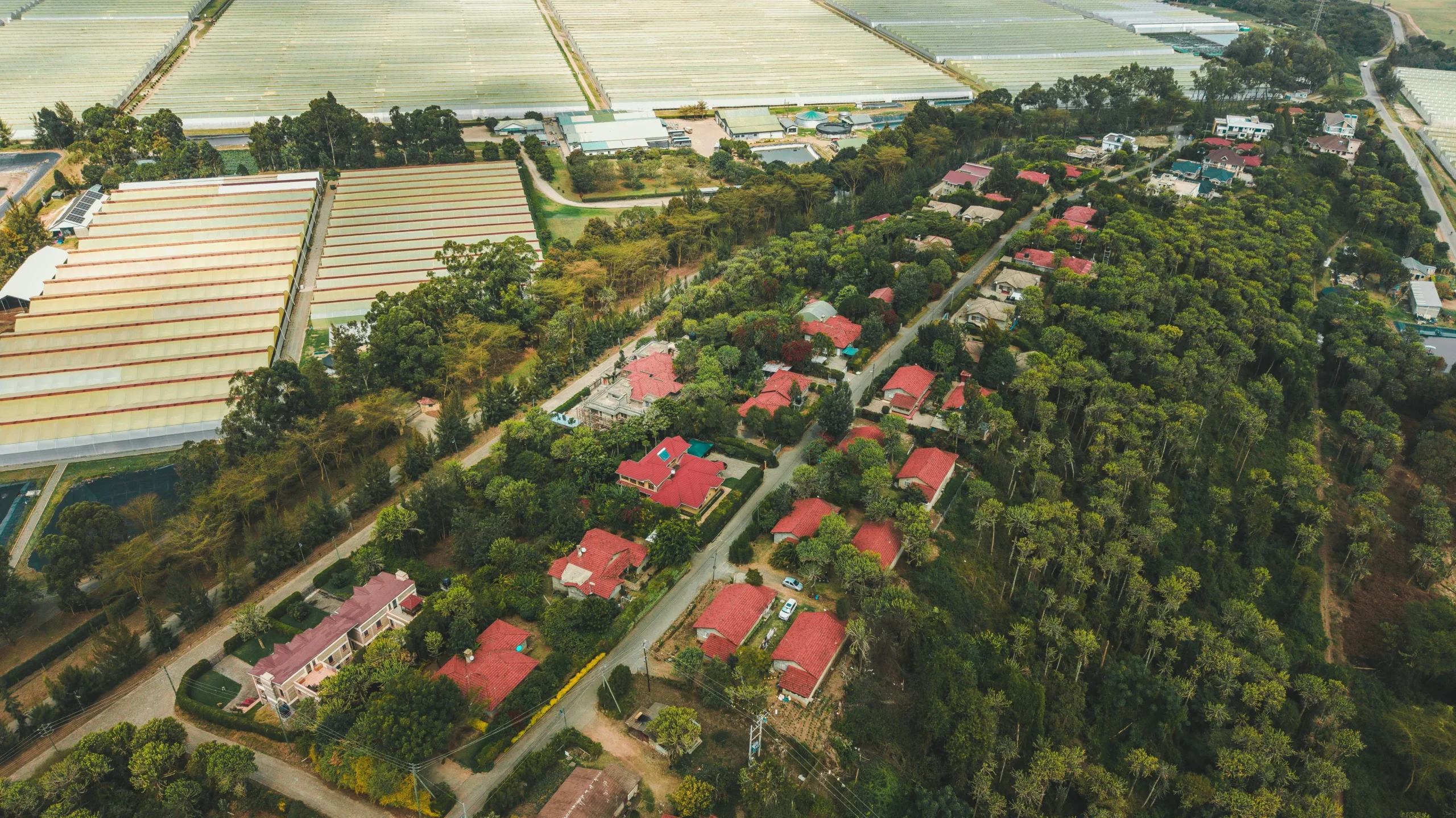 Flower Business Park Residences