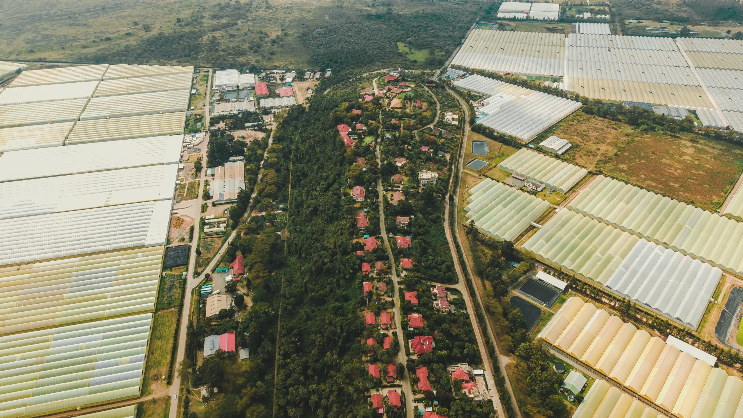 Flower Business Park Residences