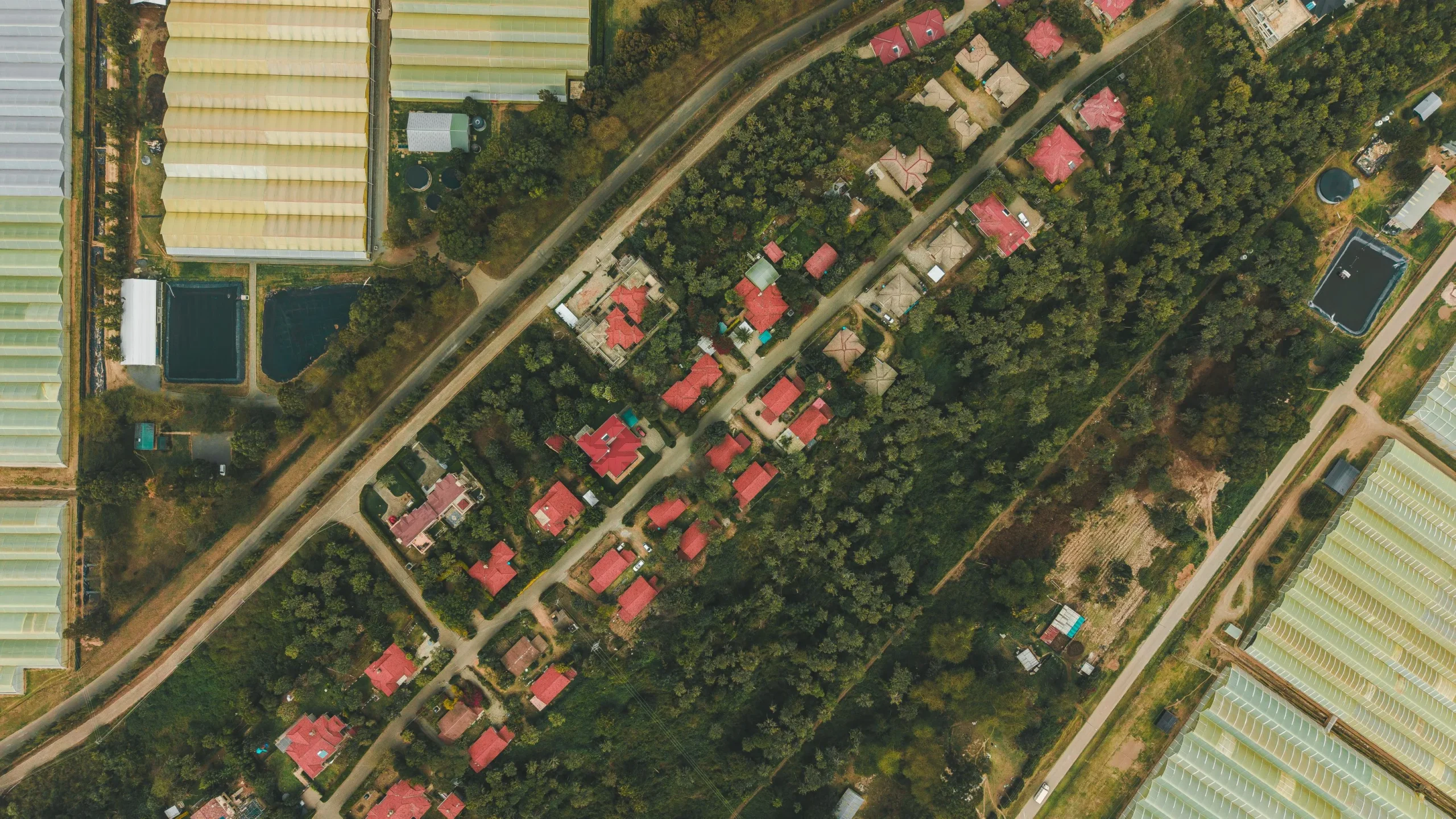 Flower Business Park Residences