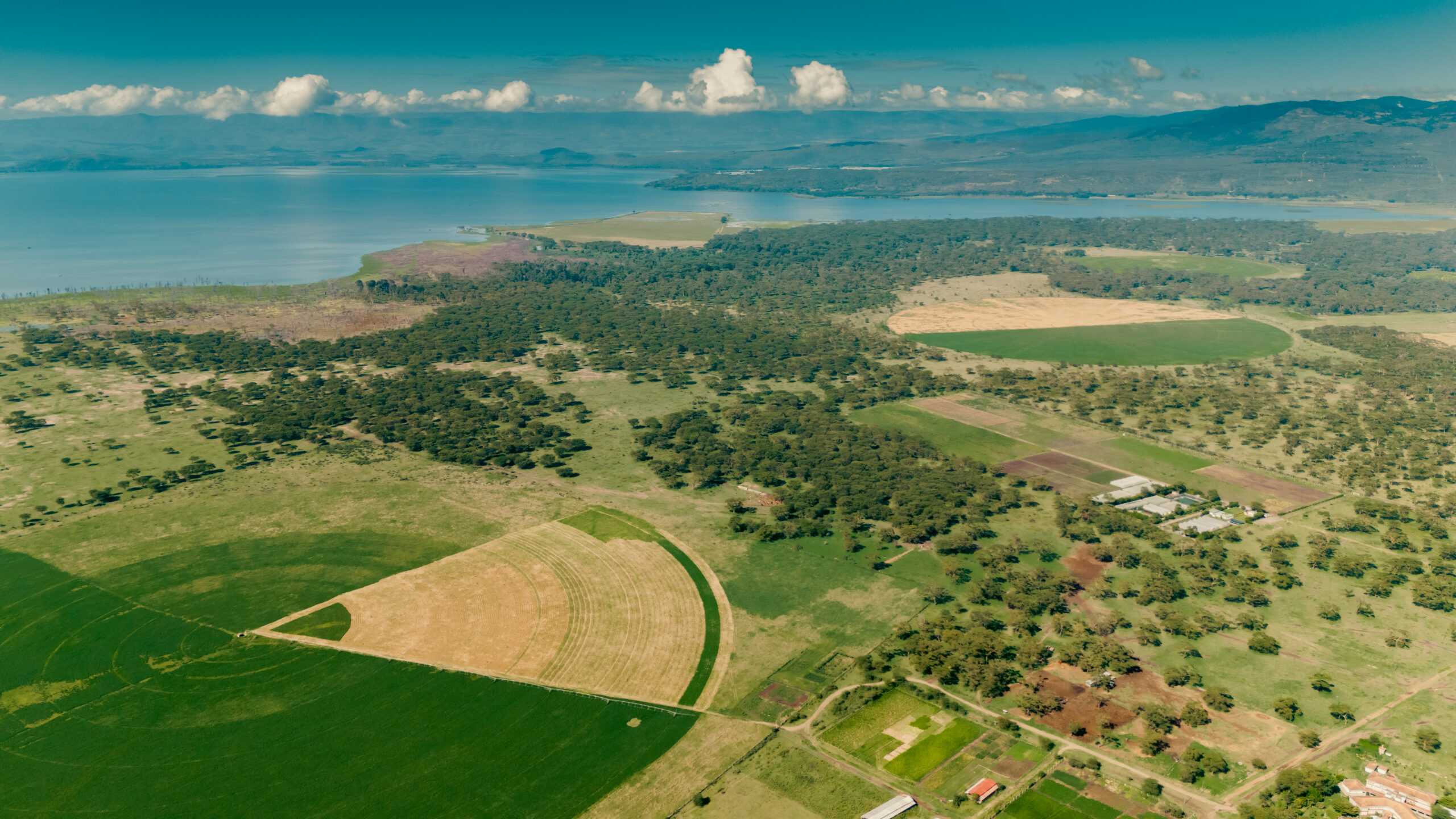 Newvasha EPZ Management