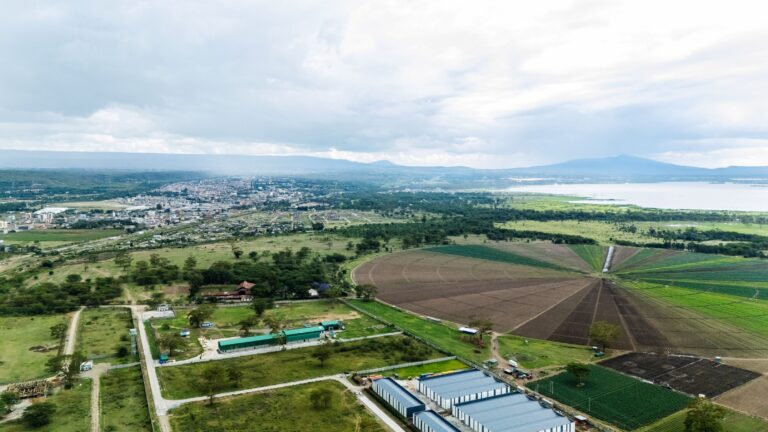 The Unbeatable Edge: Newvasha EPZ’s Logistical Advantage for Export Manufacturing