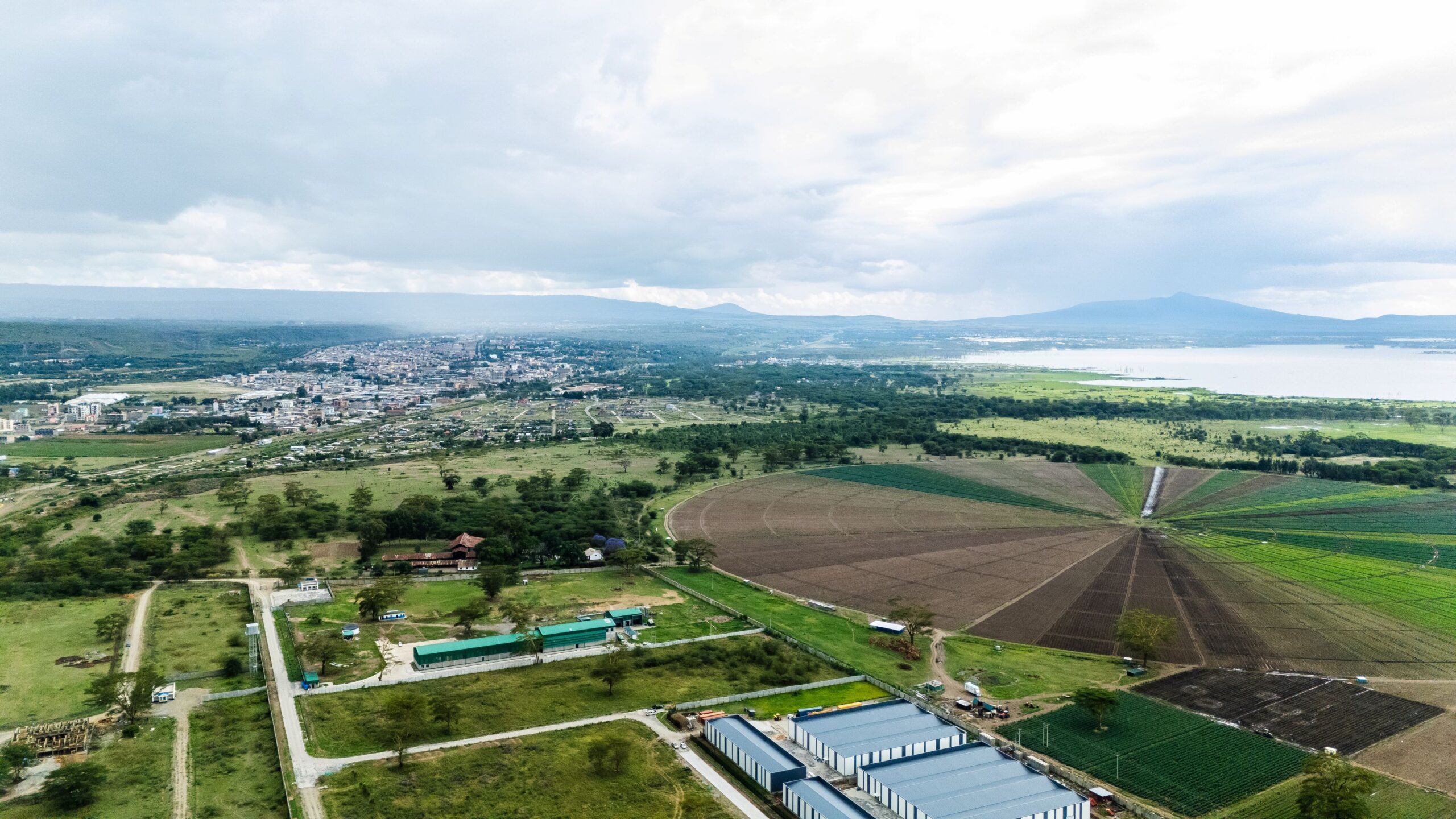 Industrial Road with Wind Turbines