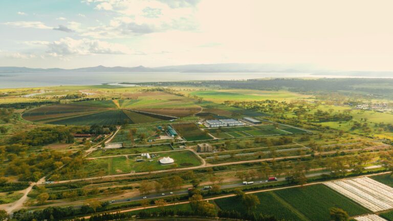 Unlocking Exponential Growth: The Comprehensive Advantages of Operating Within the Newvasha Development EPZ