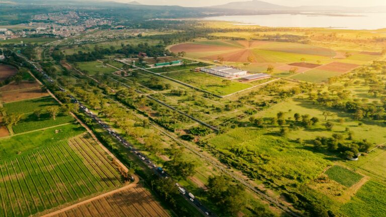 The Foundation of Success: Inside Newvasha EPZ’s World-Class Infrastructure