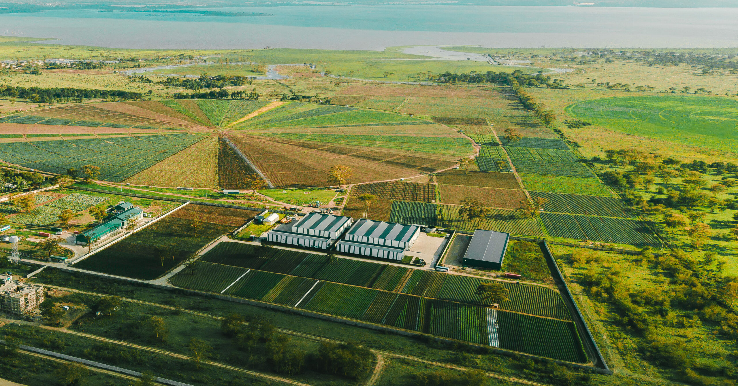 Newvasha EPZ Aerial View