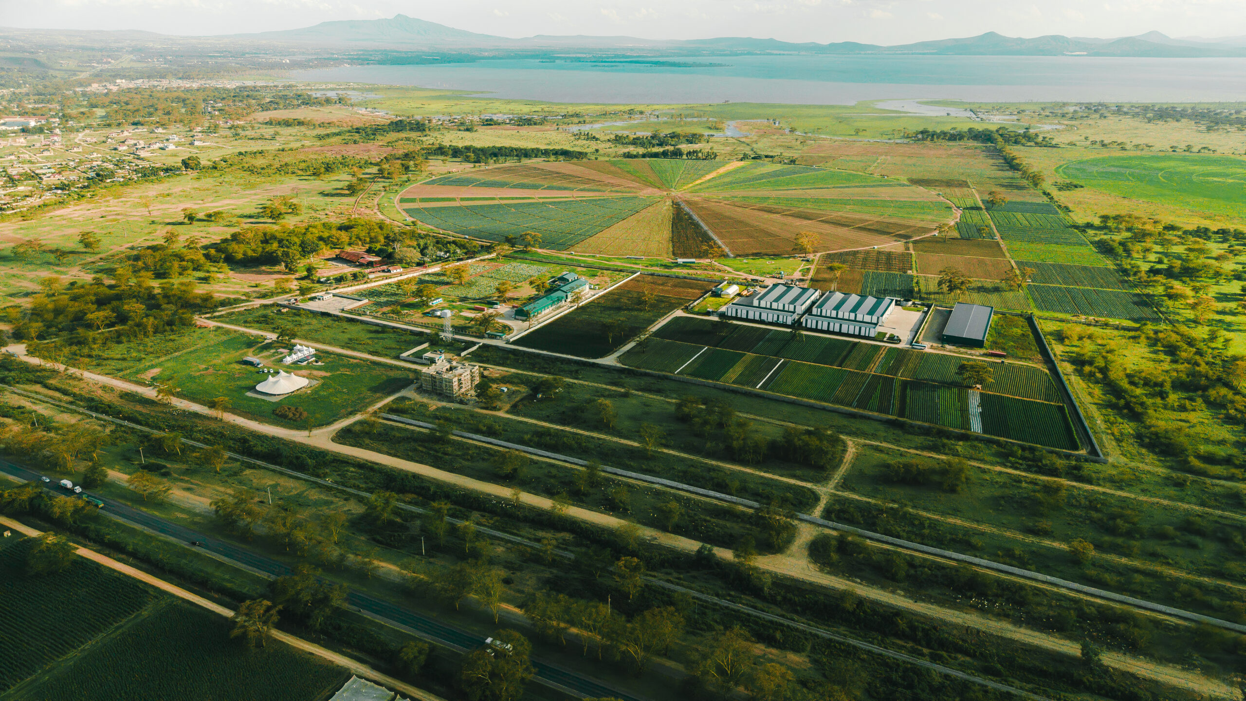 Newvasha EPZ Aerial View