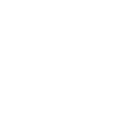 Locked in flavour icon