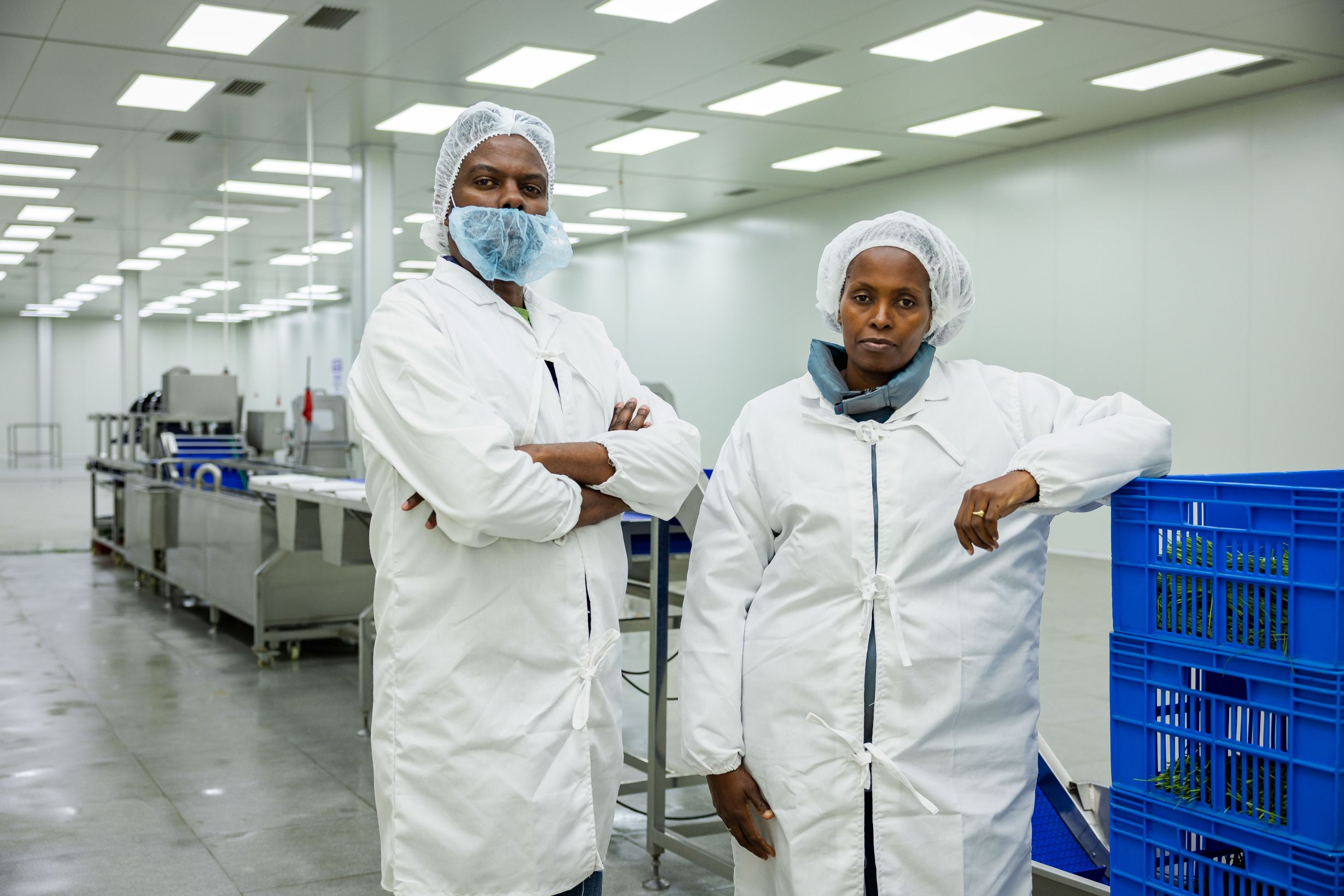 Team preparing fresh ingredients
